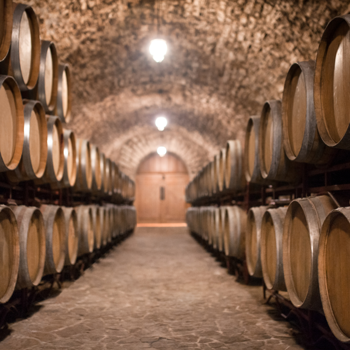 Monitoreo de CO2 en bodegas