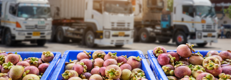 Control de temperatura y humedad en la distribución y almacenaje de alimentos