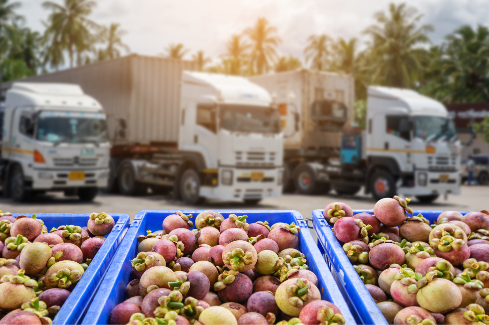 Control de condiciones ambientales en la distribución de alimentos